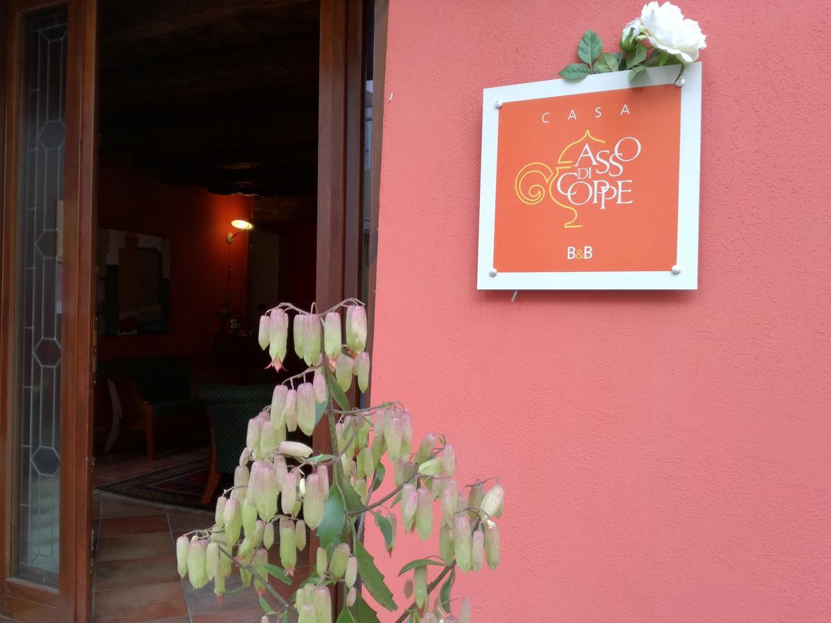 Casa Asso Di Coppe B&B Alba  Extérieur photo